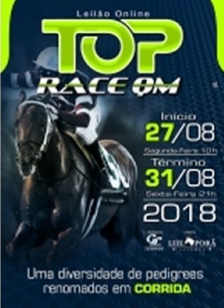 LEILAO ONLINE TOP RACE QM 