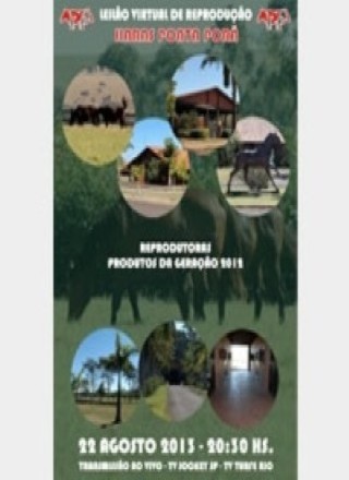 Leilão Virtual de Reprodução Haras Ponta Porã 