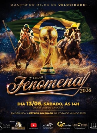 2º LEILÃO FENOMENAL 