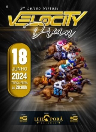 7º LEILÃO VIRTUAL VELOCITY DREAM 
