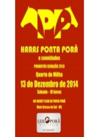 Leilao Haras Ponta Pora e Convidados (Quarto de Milha) - 2014 