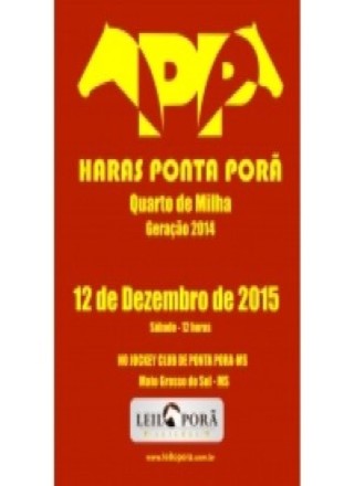 1 Leilao Speed Horse Show 