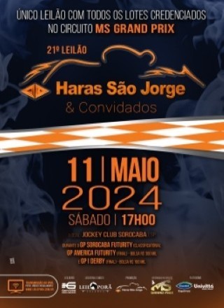 21º LEILÃO HARAS SÃO JORGE 