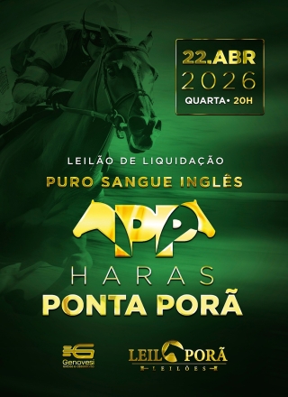 LEILAO DE LIQUIDAÇÃO PSI HARAS PONTA PORA 