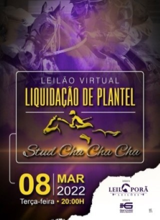 LIQUIDAÇÃO DE PLANTEL CHA CHA CHA 