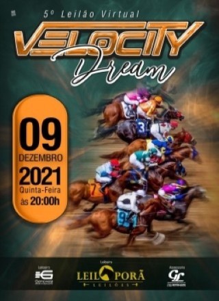 5º LEILAO VIRTUAL VELOCITY DREAM 