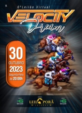 6º LEILÃO VIRTUAL VELOCITY DREAM 