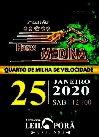 3 LEILÃO HARAS MEDINA E CONVIDADOS 