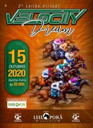 2º LEILAO VIRTUAL VELOCITY DREAM 