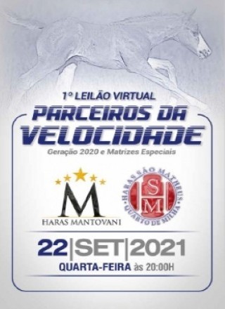 1º LEILÃO VIRTUAL HARAS MANTOVANI & HARAS SÃO MATHEUS 