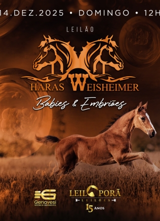 1º Leilão Haras Weisheimer Babies e Embriões 