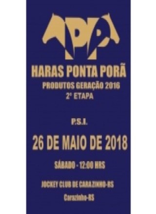 LEILAO HARAS PONTA PORA - 2Âº ETAPA - 2018 