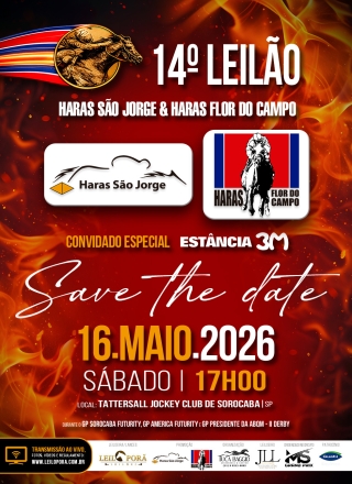 23º LEILÃO HARAS SÃO JORGE 