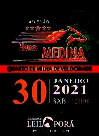 4º LEILAO HARAS MEDINA E CONVIDADOS 