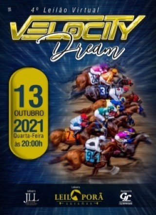 4º LEILAO VIRTUAL VELOCITY DREAM 2021 