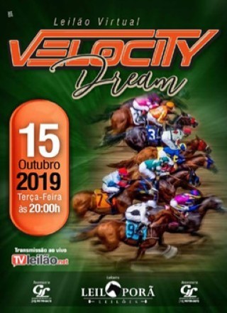 1Âº LEILAO VIRTUAL VELOCITY DREAM 