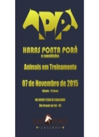 Leilao de Treinamento - Haras Ponta Pora e Convidados 