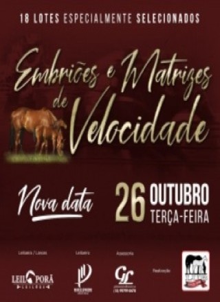 1º LEILAO EMBRIOES DA VELOCIDADE 