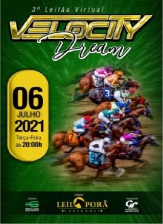 3º LEILAO VIRTUAL VELOCITY DREAM 