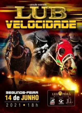 1 LEILAO VIRTUAL LUB VELOCIDADE 