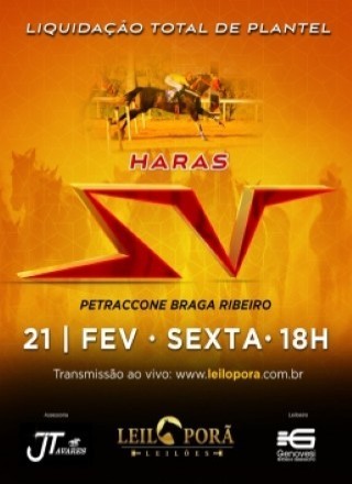 LIQUIDAÇAO HARAS SV 