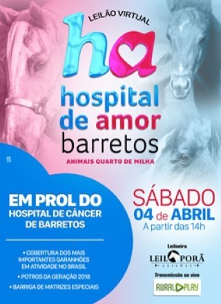 LEILÃO VIRTUAL HOSPITAL DO AMOR - BARRETOS 