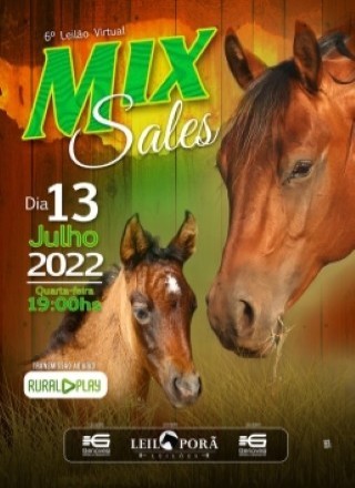 6º LEILÃO MIX SALES 