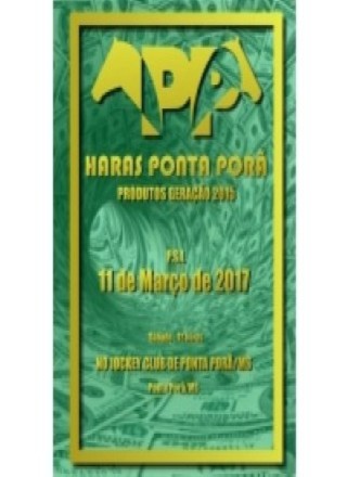 Leilao Haras Ponta Pora - MS - Geracao 2015 - PSI 