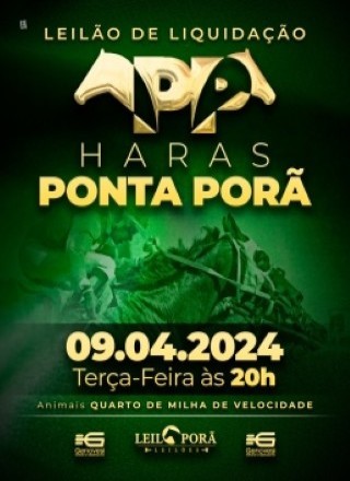 LEILAO DE LIQUIDAÇAO QM HARAS PONTA PORA 