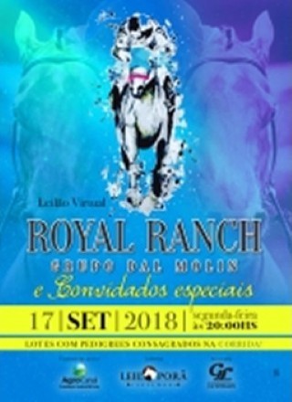 LEILAO HARAS ROYAL RANCH E CONVIDADOS 