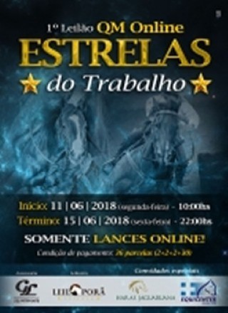 1 LEILAO ONLINE - QM ESTRELAS DO TRABALHO 