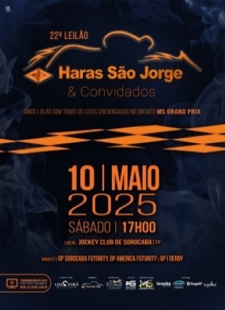 22º LEILÃO HARAS SÃO JORGE 