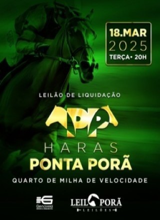 LEILAO DE LIQUIDAÇAO HARAS PONTA PORA 