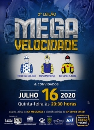 2º LEILÃO MEGA VELOCIDADE 2020 