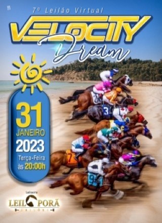7o LEILÃO VELOCITY DREAM 