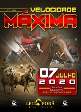 1º LEILAO VELOCIDADE MAXIMA 