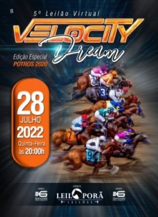 VELOCITY DREAM EDIÇÃO ESPECIAL POTROS 2020 - PENCA FECHADA 