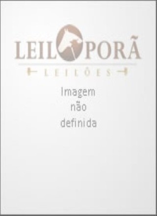 1º LEILAO BELA VISTA HORSE SHOW 