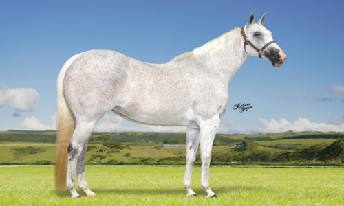 EMBRIAO LOUISIANA SENATOR X MANILA TOLL 