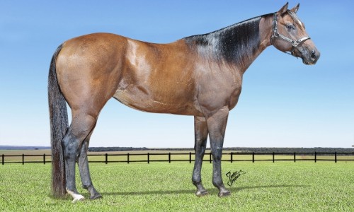 HYLDA FURACAO CAT 3M 