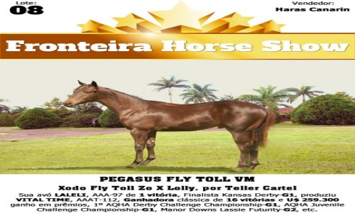 PEGASUS FLY TOLL VM 