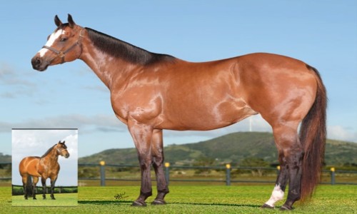 NN DIVINA BRYAN SA X TRES SEIS 