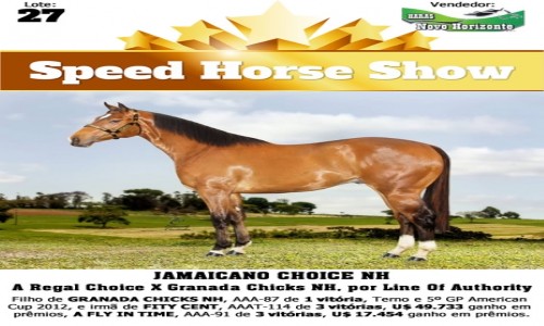 JAMAICANO CHOICE NH 