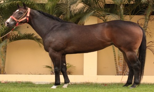 ZANZIBAR SECRETS ATL 