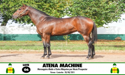 ATENA MACHINE 