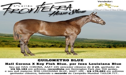 QUILOMETRICO BLUE 