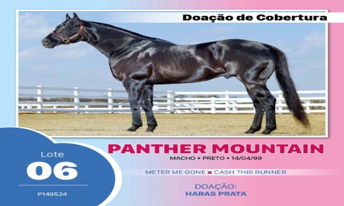 PANTHER MOUNTAIN 