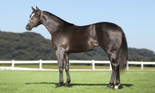 AVISA QUE EU CHEGUEI FJM 