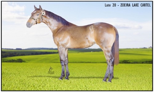 ZOEIRA LAKE CARTEL 