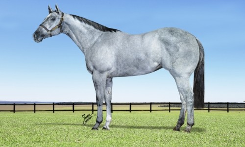 RCH EMBAIXATRIZ LAKE 